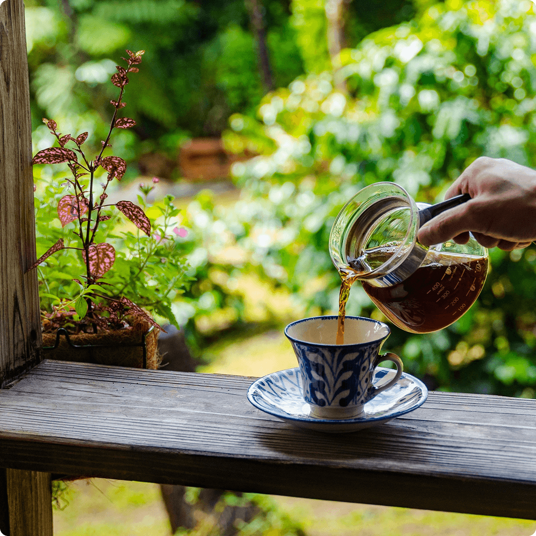 沖縄のコーヒーを、世界へ羽ばたくブランドに。